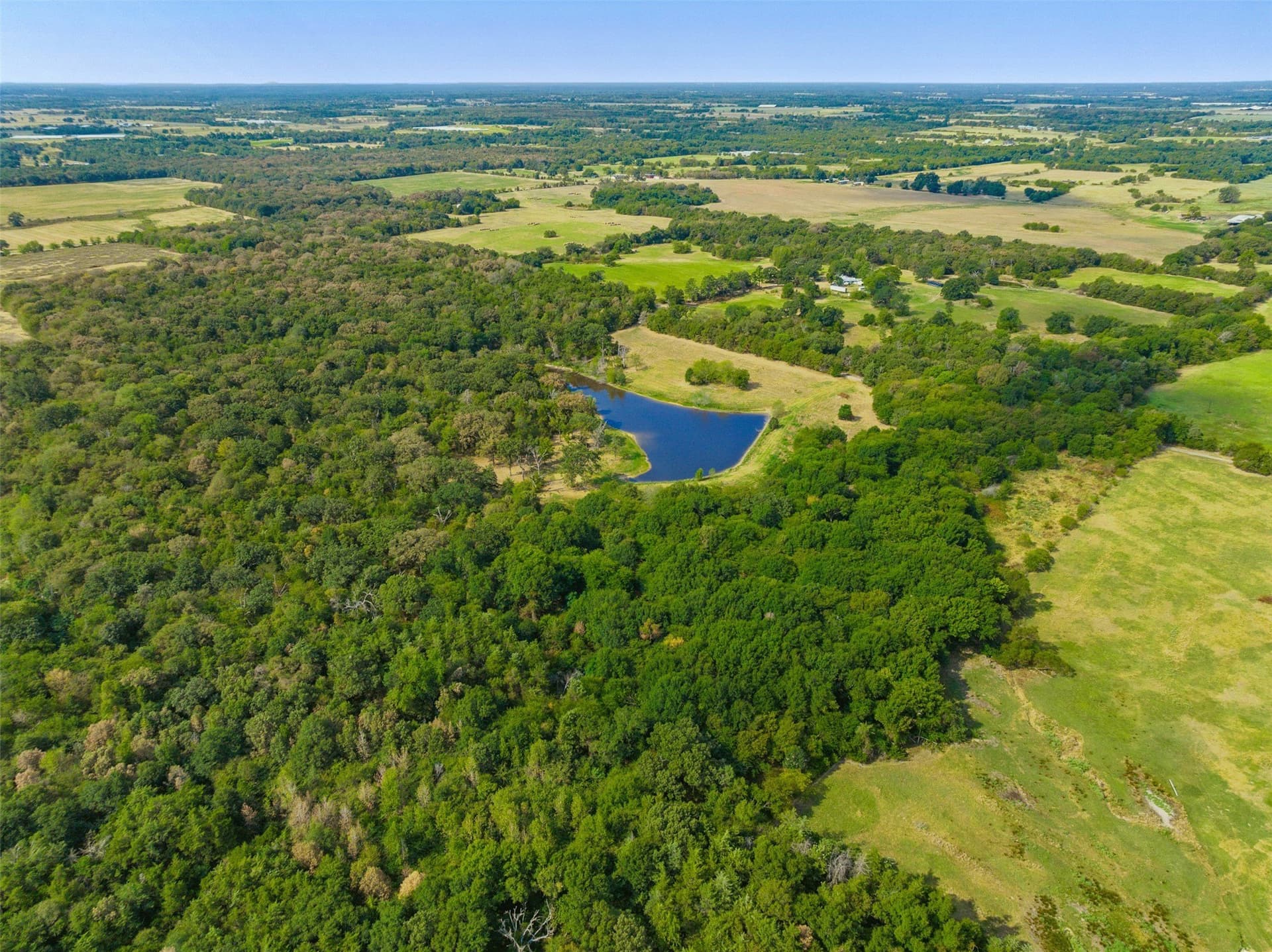 29.3 acres in Hopkins County - photo 8
