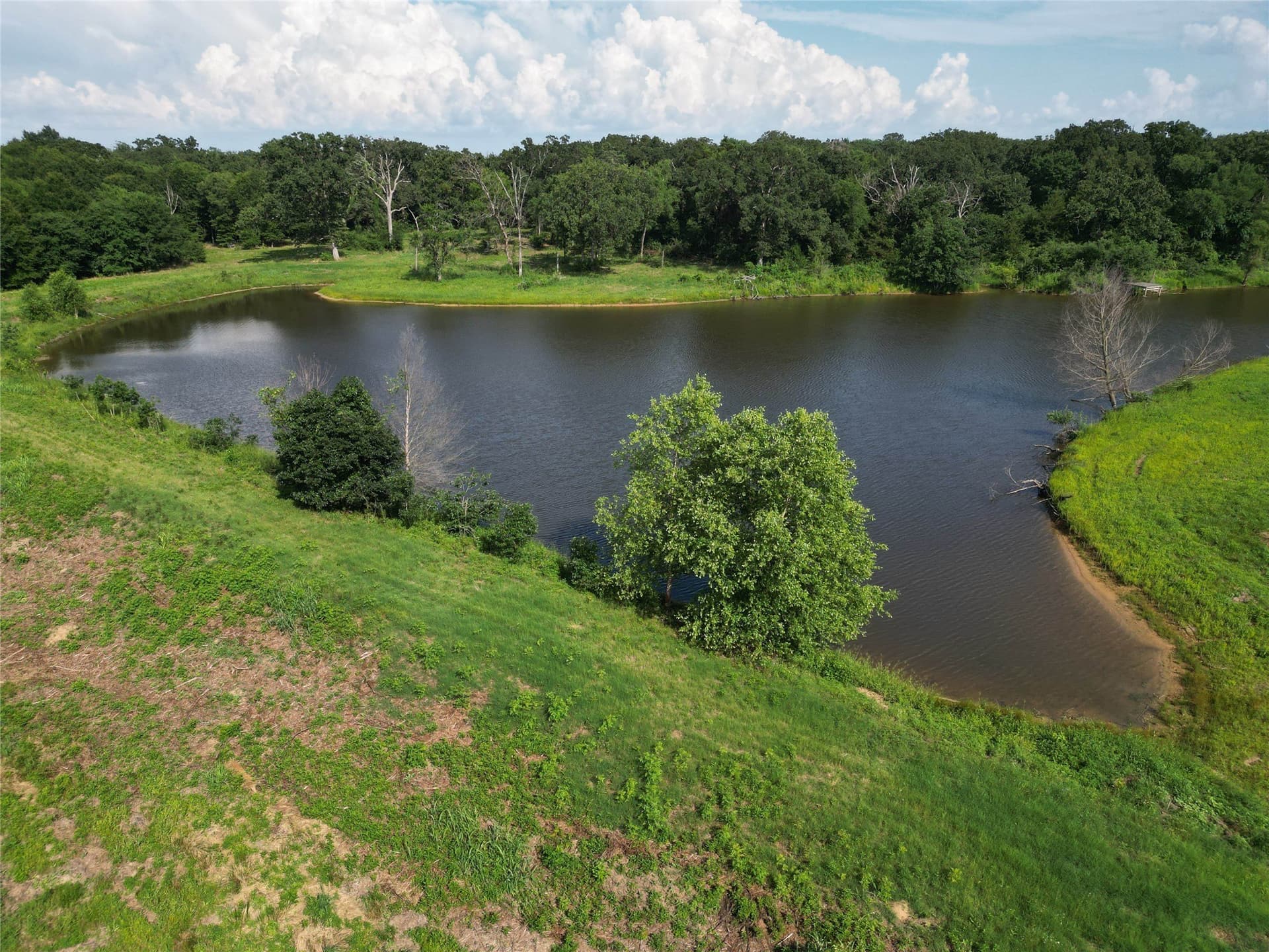 29.3 acres in Hopkins County - photo 7