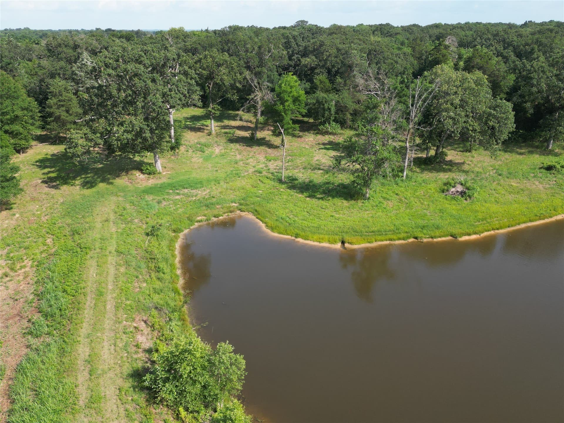 29.3 acres in Hopkins County - photo 9