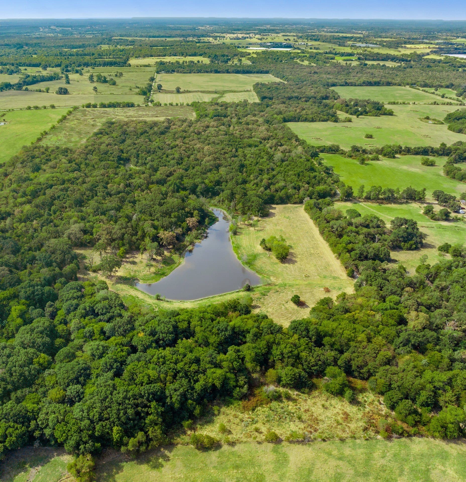 29.3 acres in Hopkins County - photo 9