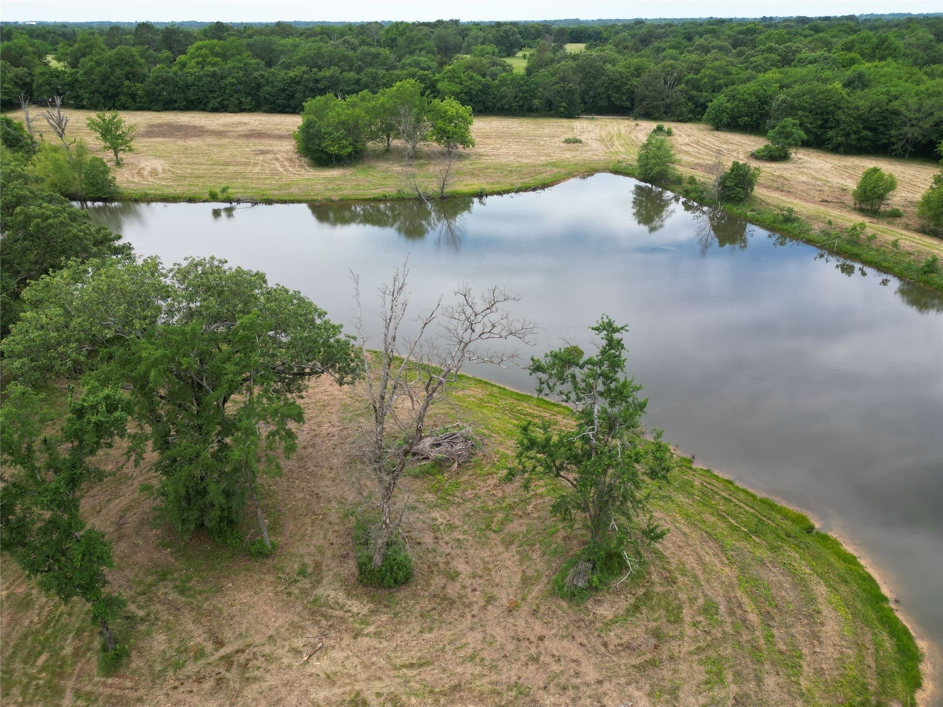 29.3 acres in Hopkins County - photo 19