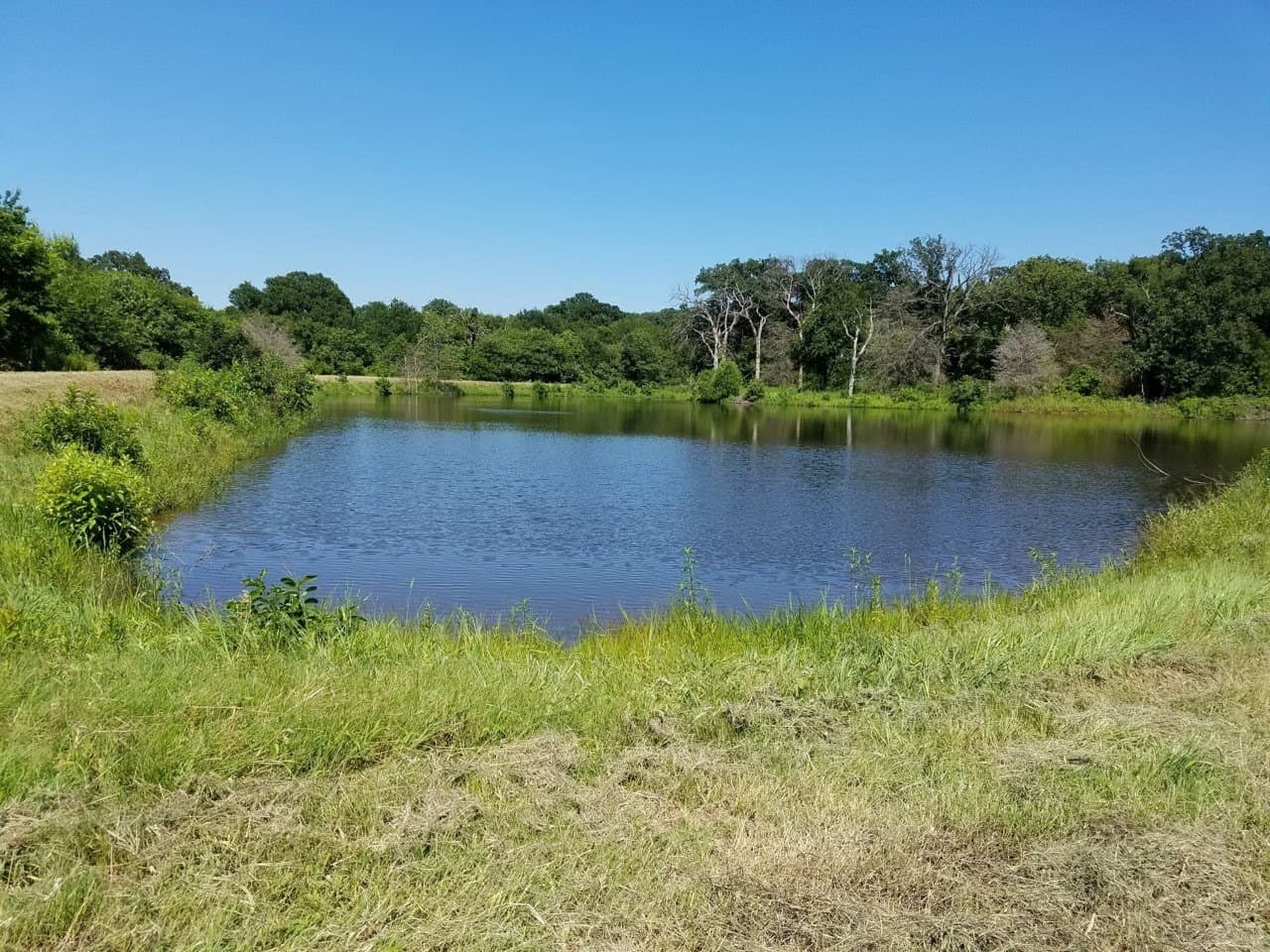 29.3 acres in Hopkins County - photo 20
