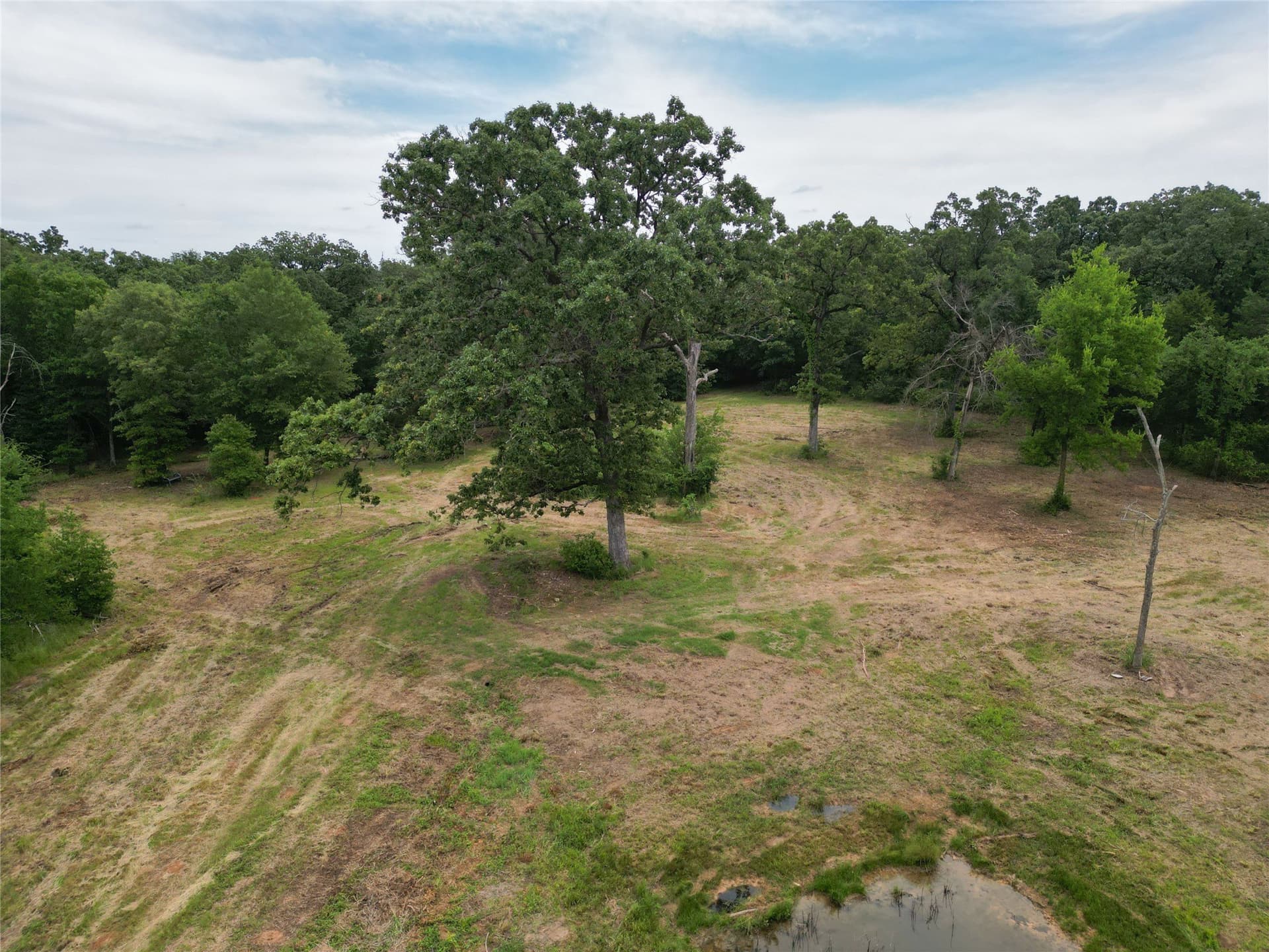29.3 acres in Hopkins County - photo 16