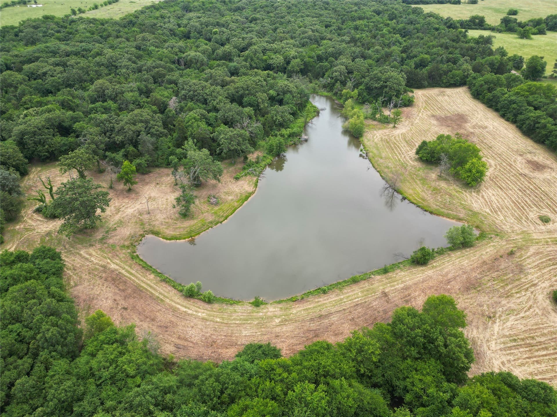 29.3 acres in Hopkins County - photo 15