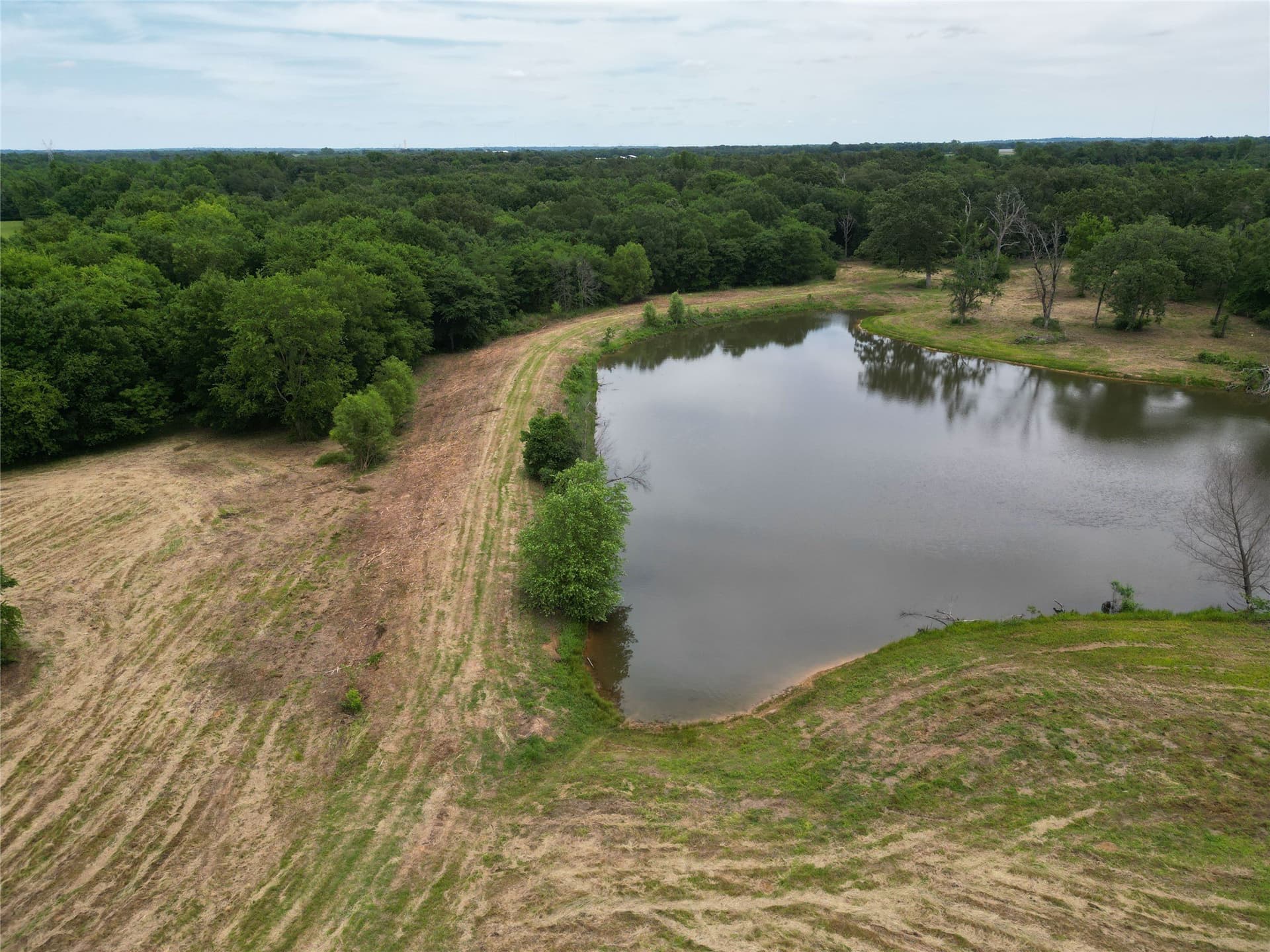 29.3 acres in Hopkins County - photo 13
