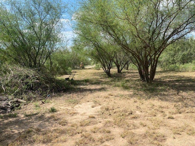 19.44 acres in Jim Wells County gallery image 2