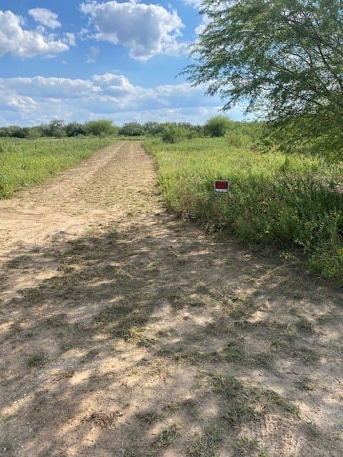 19.44 acres in Jim Wells County gallery image 3