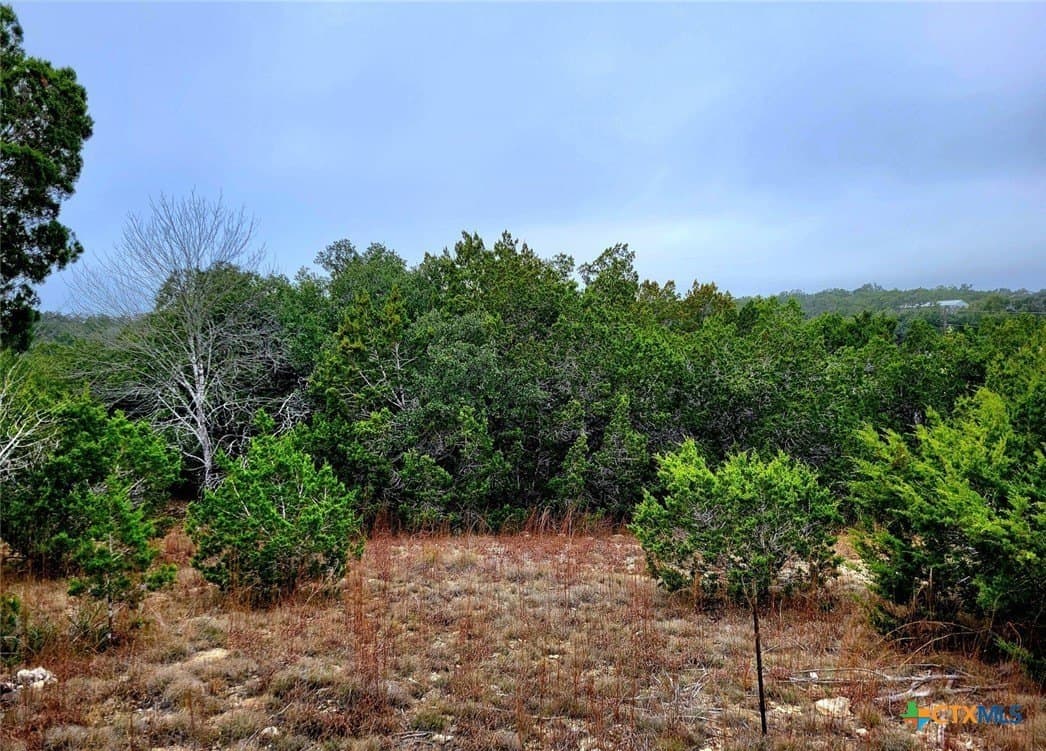0.92 acres in Comal County - photo 7
