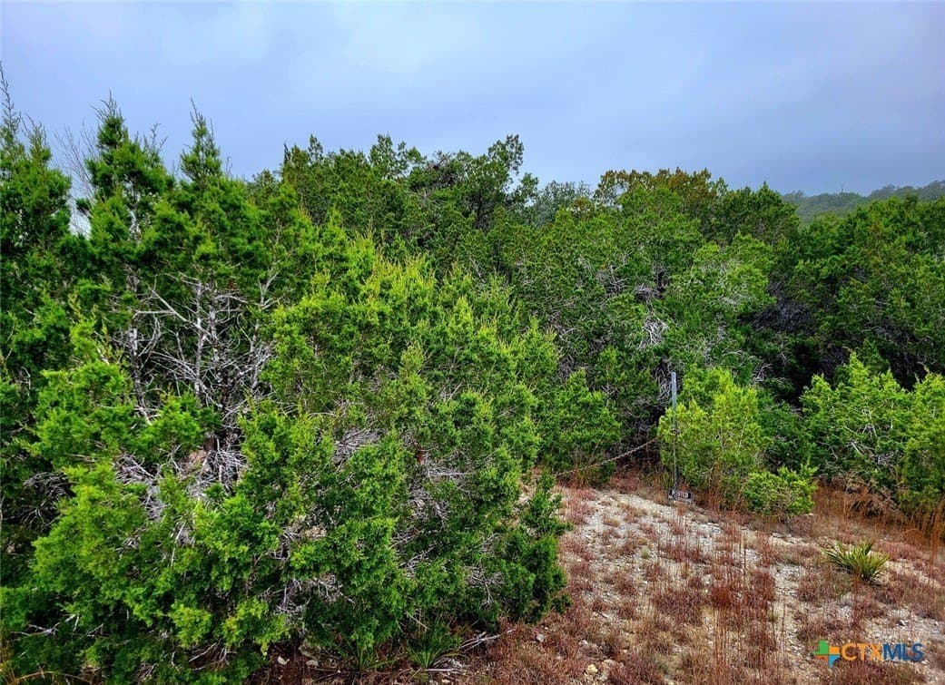 0.92 acres in Comal County - photo 8