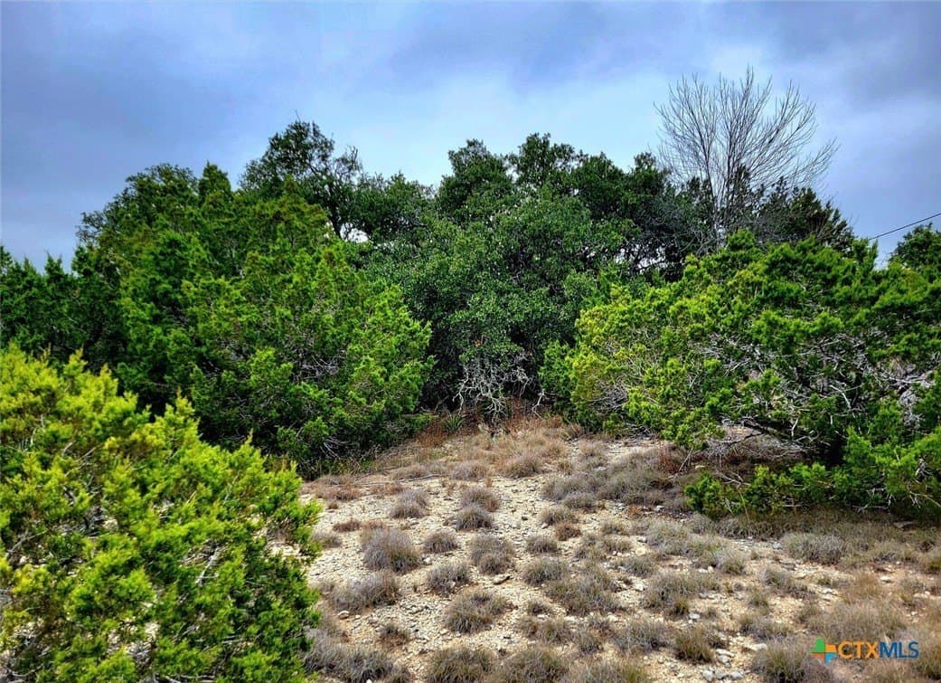 0.92 acres in Comal County gallery image 4