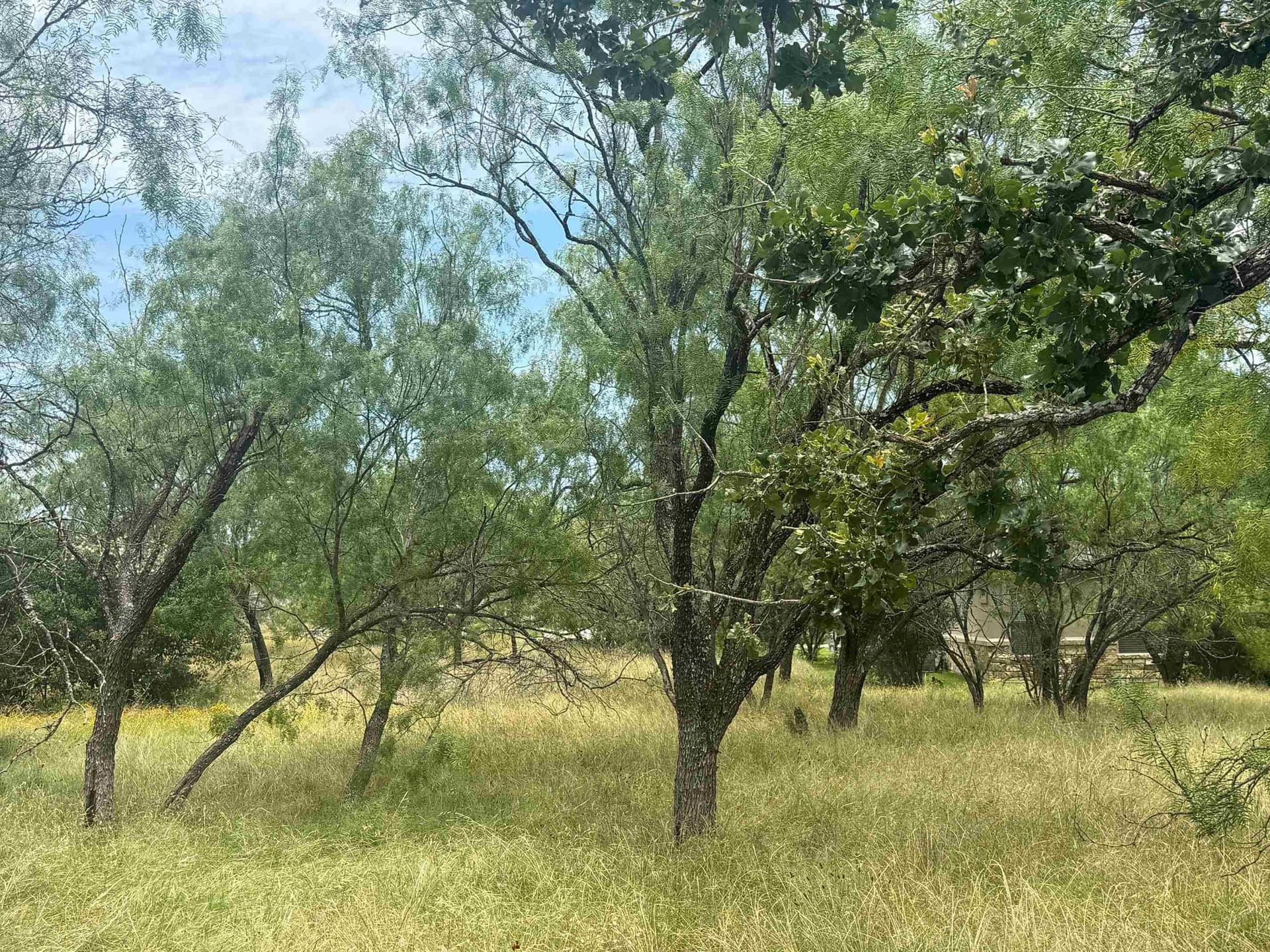 0.12 acres in Llano County gallery image 3