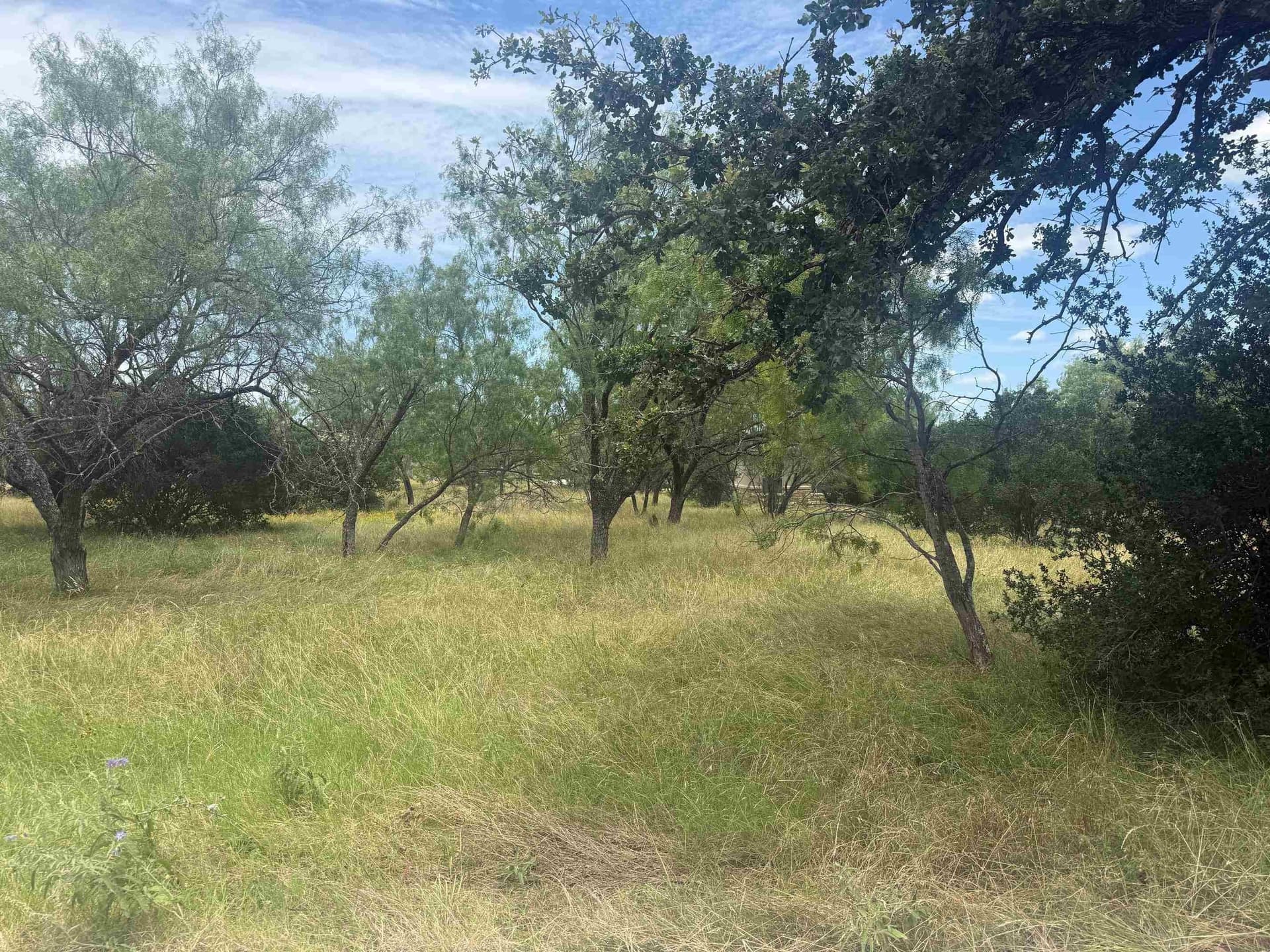 0.12 acres in Llano County gallery image 2