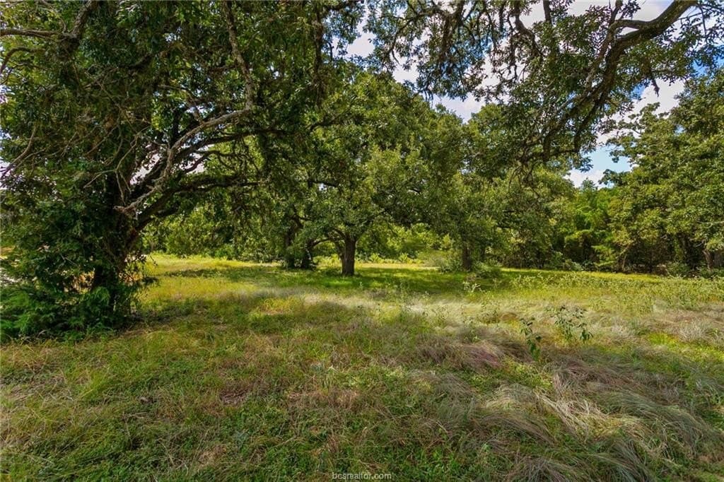 0.66 acres in Burleson County - photo 4