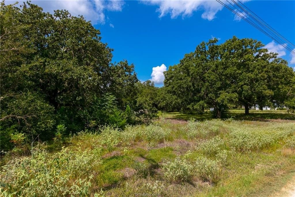 0.66 acres in Burleson County - photo 7