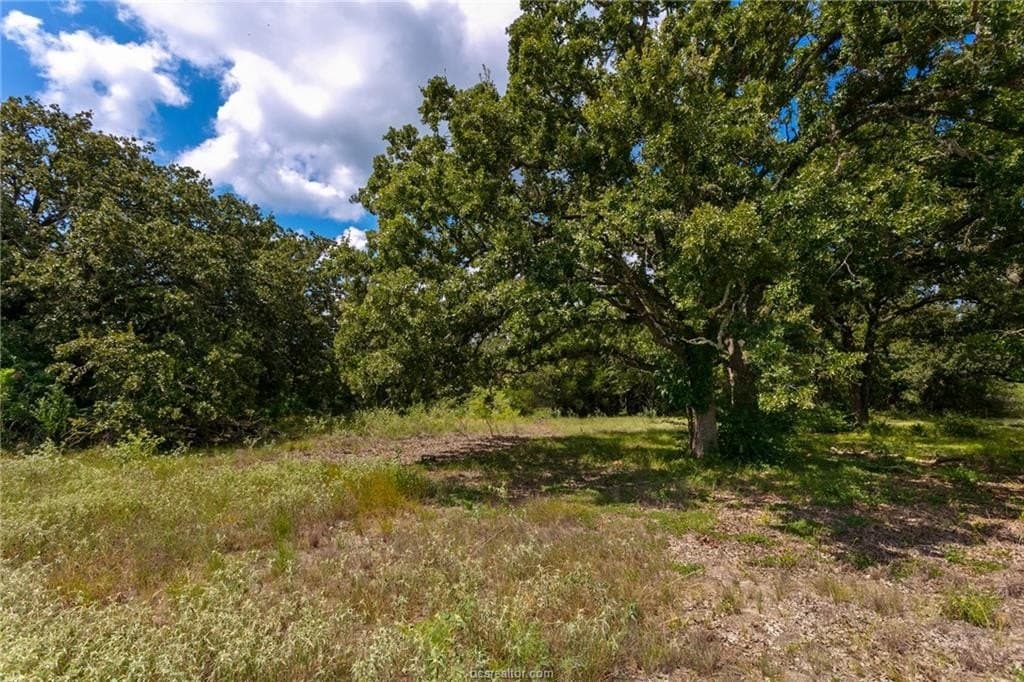0.66 acres in Burleson County - photo 6