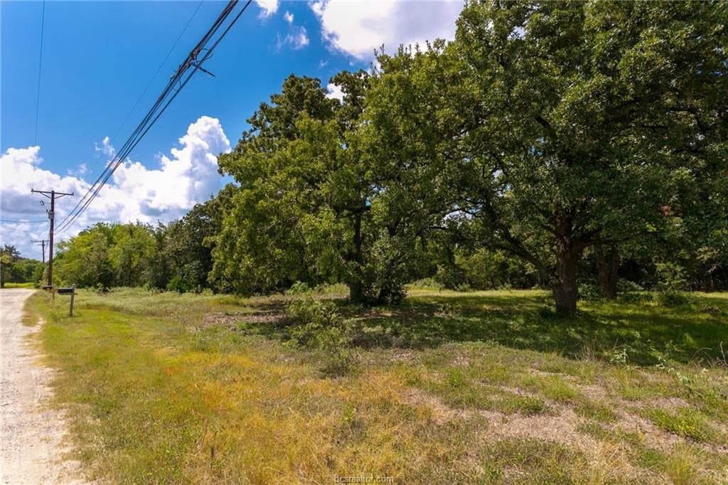 0.66 acres in Burleson County - photo 5
