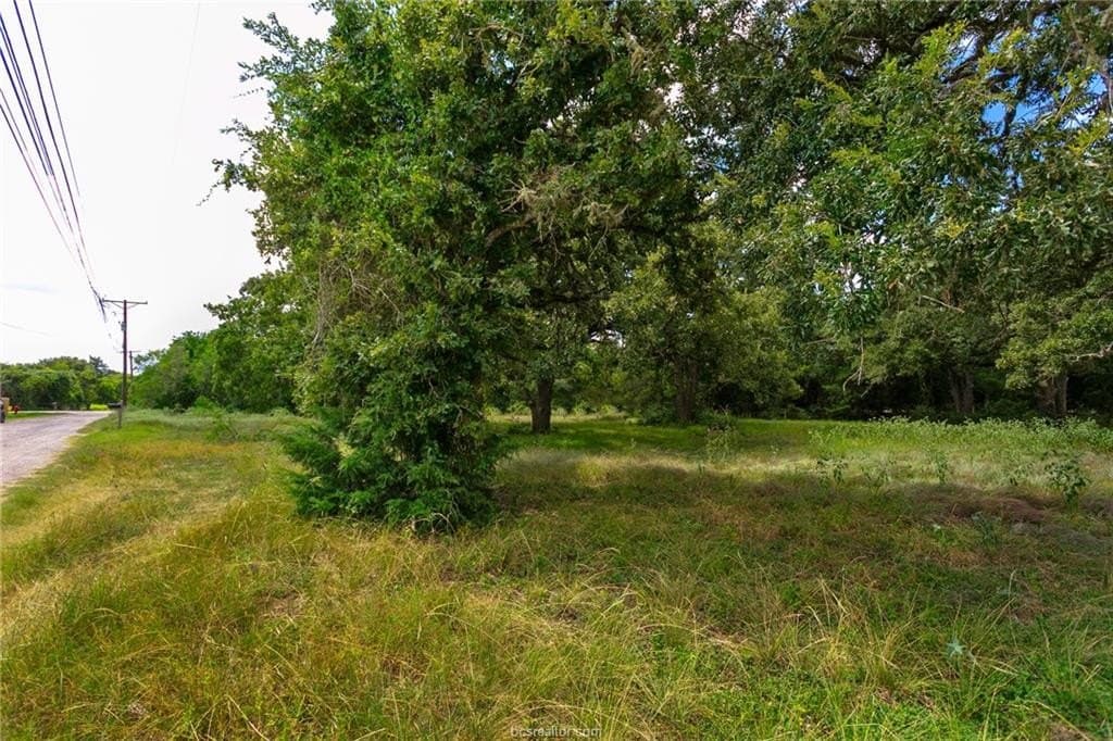 0.66 acres in Burleson County - photo 3