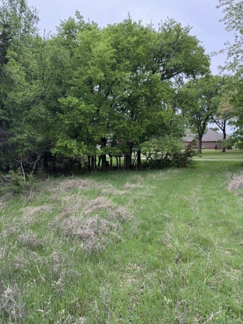 0.27 acres in Hill County - photo 13
