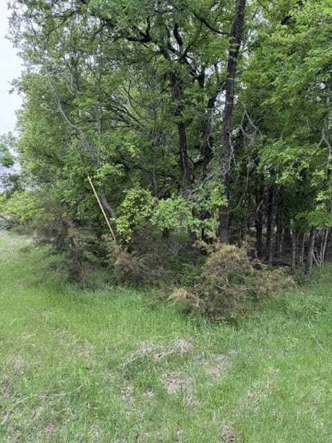 0.27 acres in Hill County - photo 3
