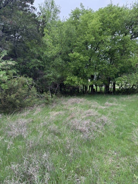 0.27 acres in Hill County - photo 12