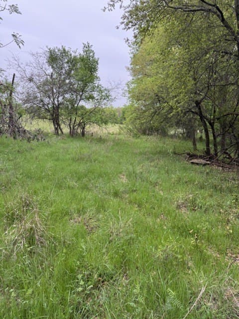 0.27 acres in Hill County - photo 10