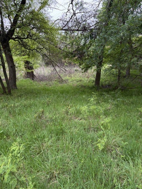 0.27 acres in Hill County - photo 8
