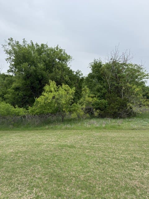0.27 acres in Hill County - photo 26