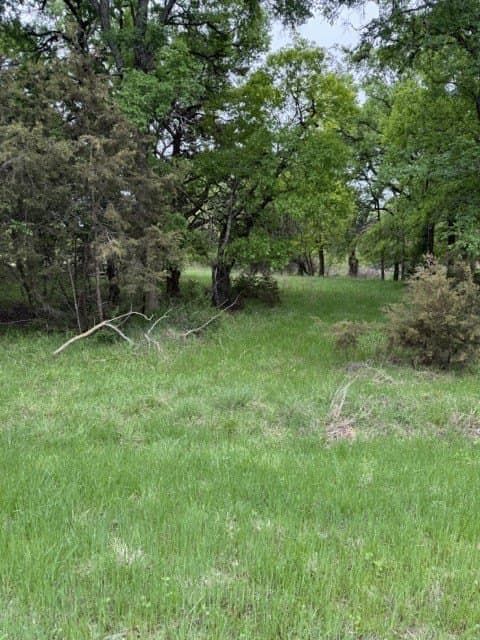 0.27 acres in Hill County - photo 2
