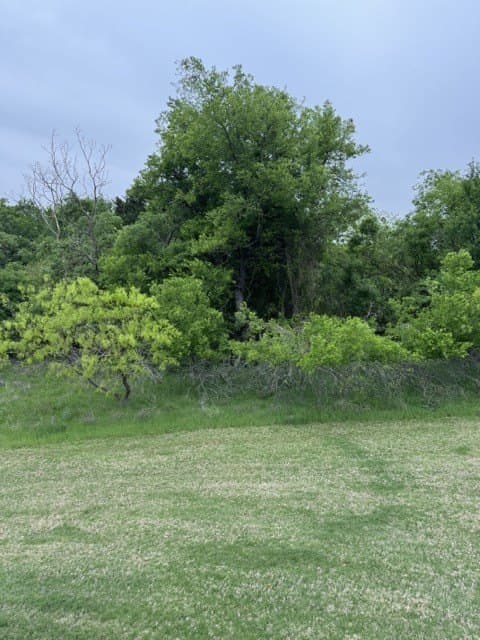 0.27 acres in Hill County - photo 23