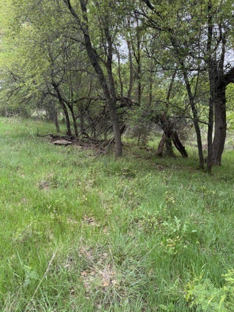 0.27 acres in Hill County - photo 9
