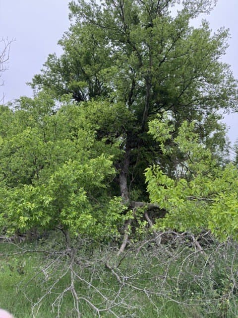 0.27 acres in Hill County - photo 20