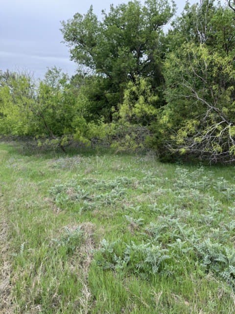 0.27 acres in Hill County - photo 15