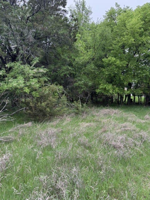 0.27 acres in Hill County - photo 14