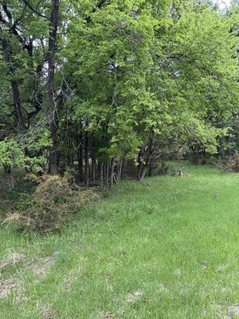 0.27 acres in Hill County - photo 4