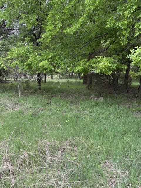 0.27 acres in Hill County - photo 32