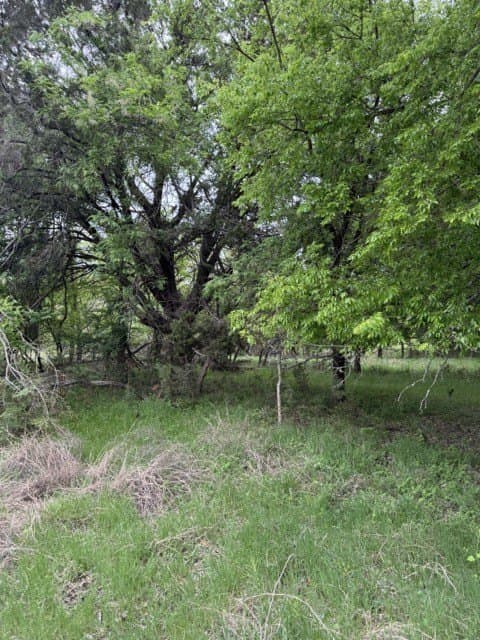0.27 acres in Hill County - photo 31