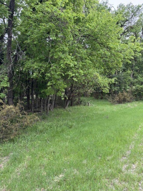 0.27 acres in Hill County - photo 5