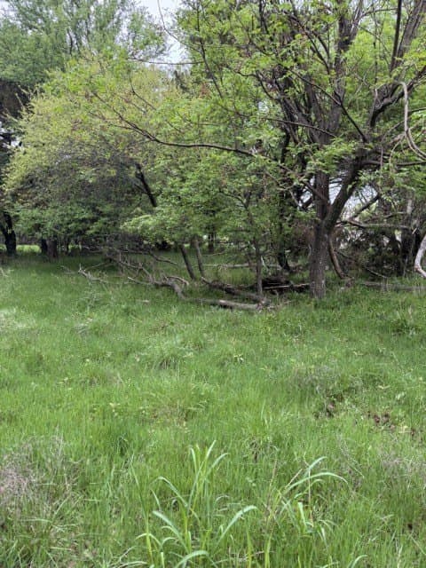 0.27 acres in Hill County - photo 11