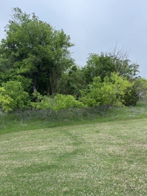 0.27 acres in Hill County - photo 25