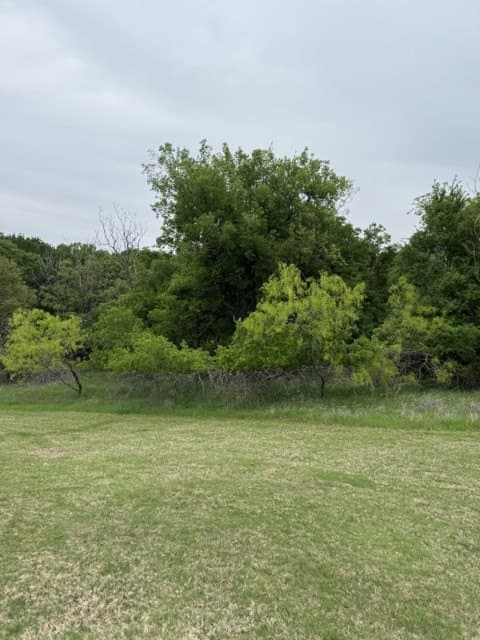 0.27 acres in Hill County - photo 27