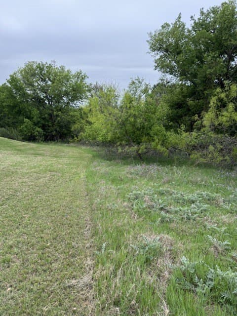 0.27 acres in Hill County - photo 16