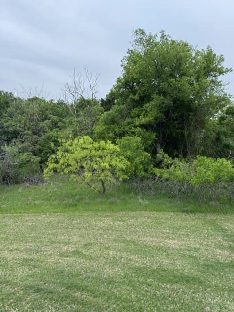 0.27 acres in Hill County - photo 24