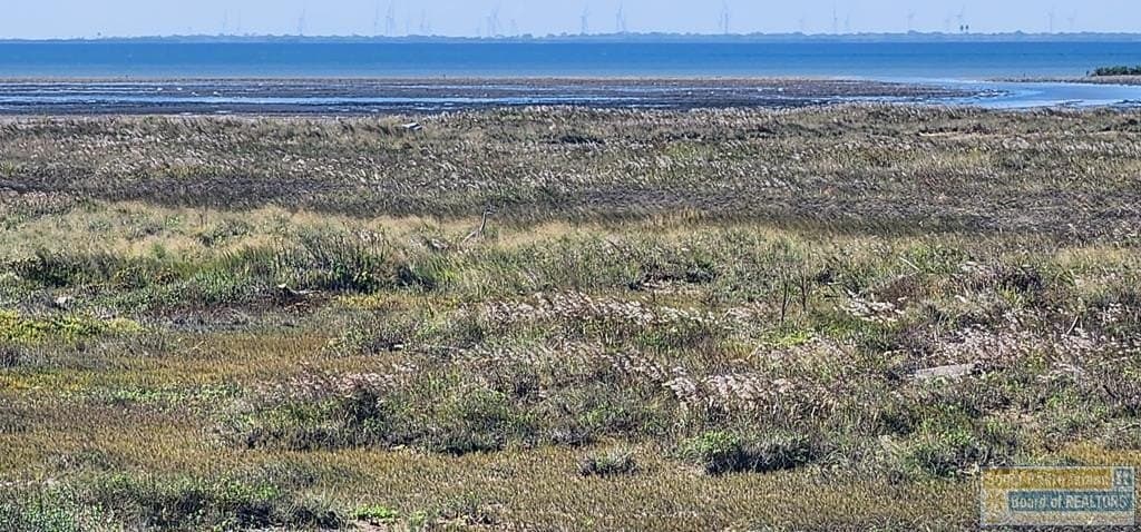 0 acres in Cameron County gallery image 2