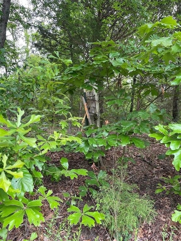 12.05 acres in Henderson County gallery image 4