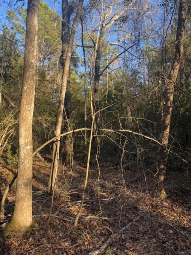 17 acres in LEON County gallery image 2