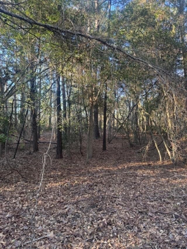 17 acres in LEON County gallery image 3