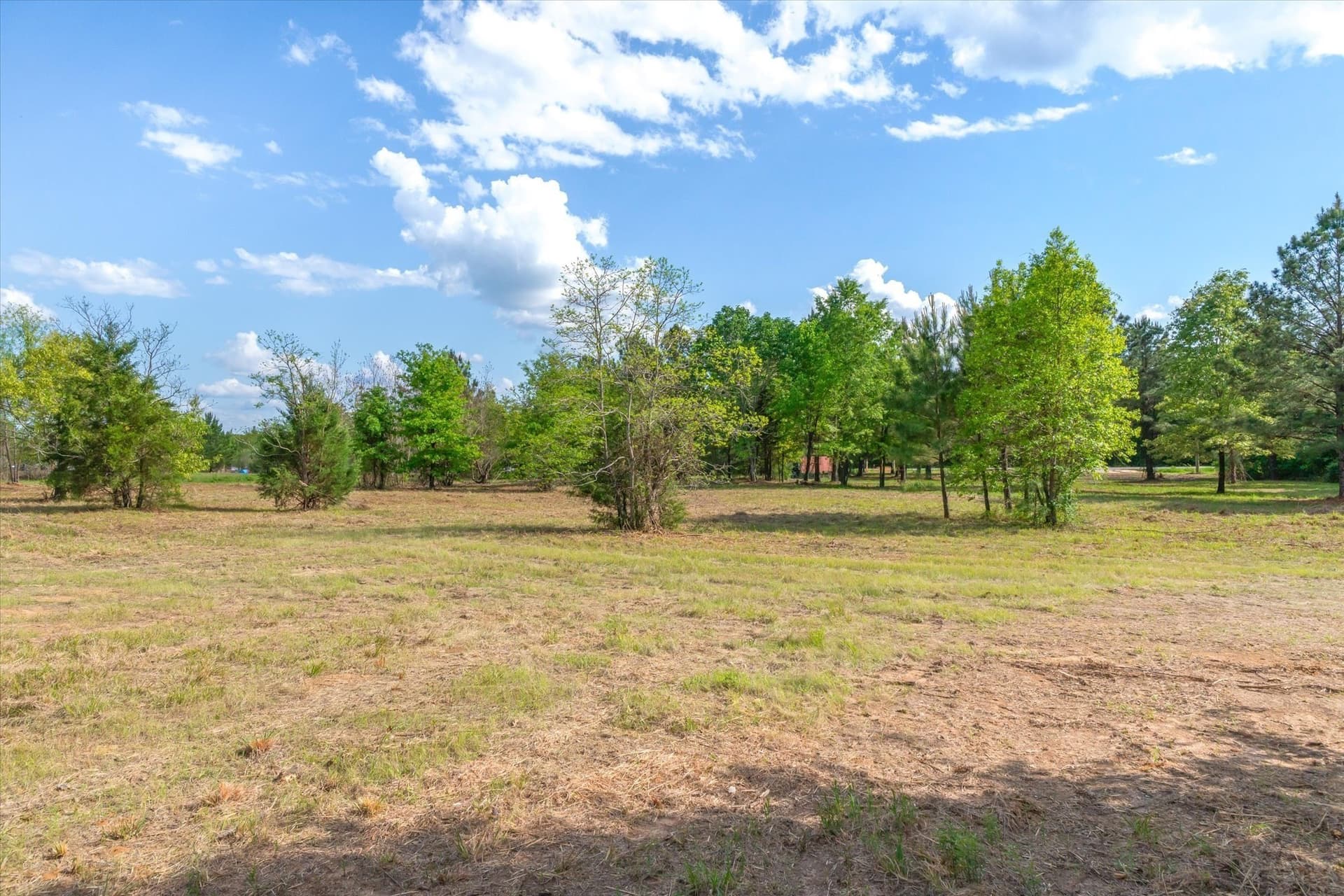 7.64 acres in Wood County - photo 12