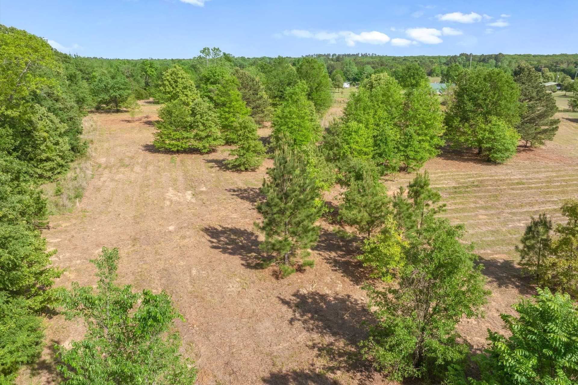 7.64 acres in Wood County - photo 14