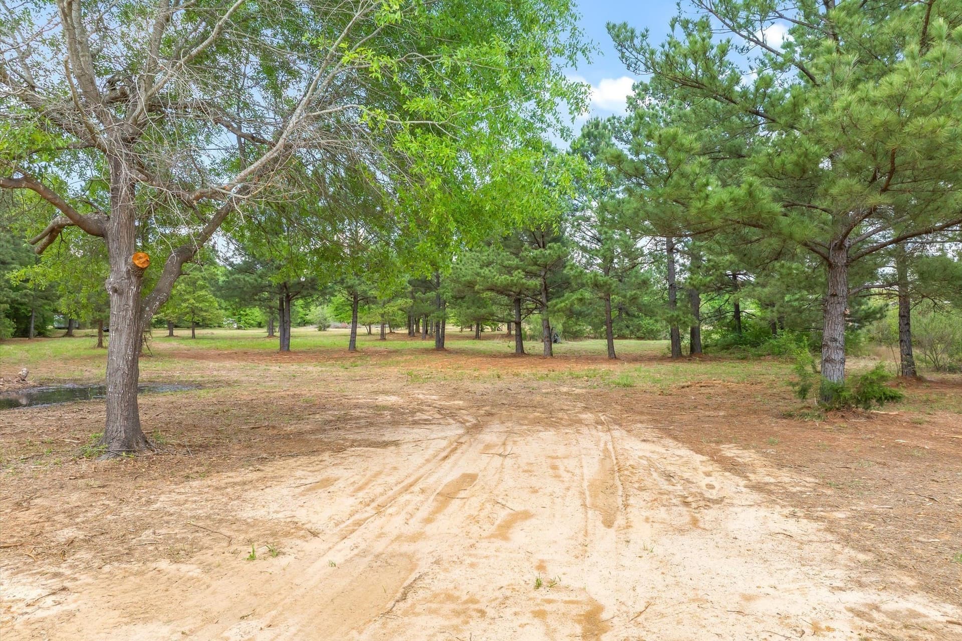 7.64 acres in Wood County - photo 8