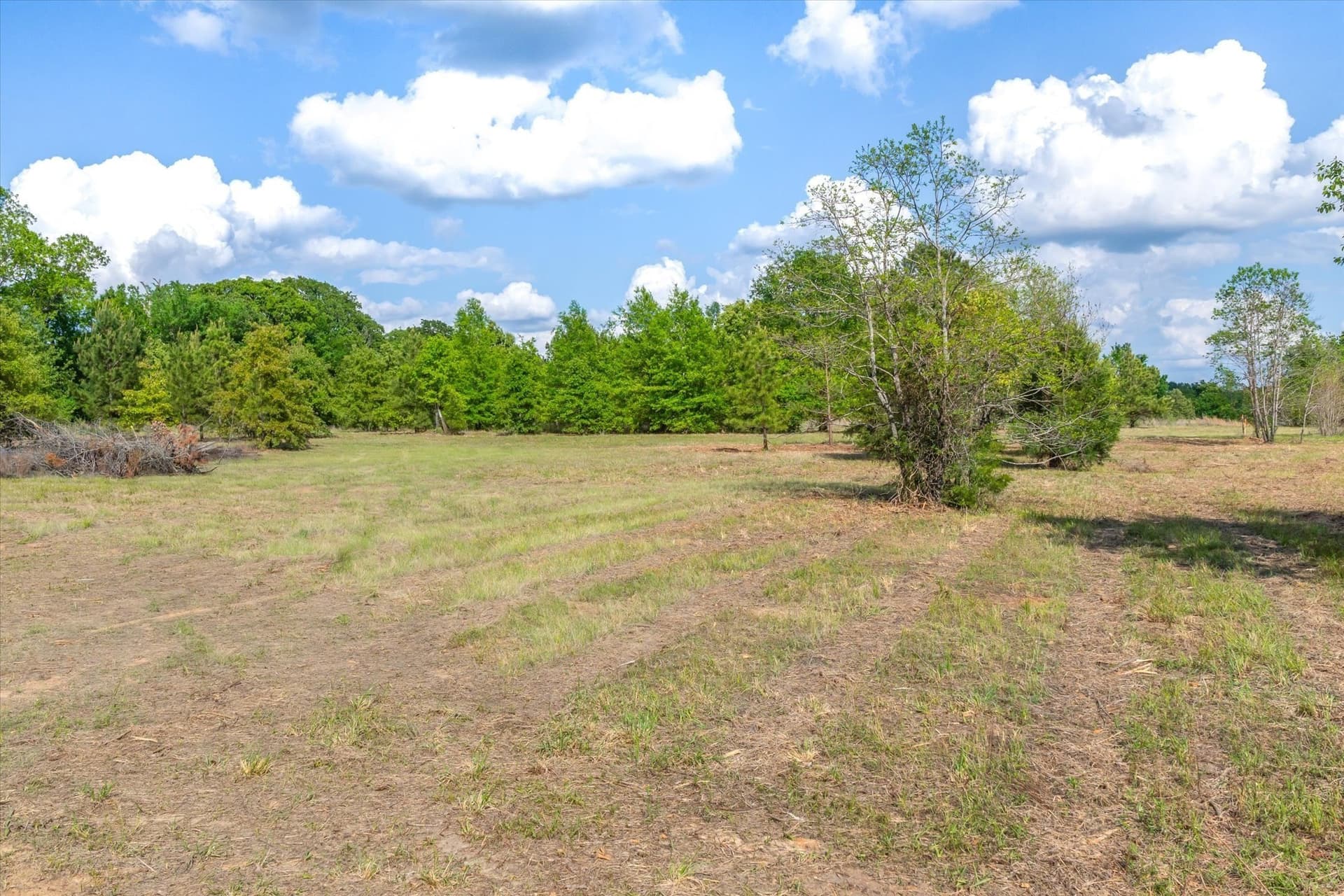 7.64 acres in Wood County - photo 10